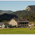 chf 406_jpg-1347909290