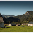 chf 409_jpg-1347909295