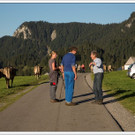 chf 418_jpg-1347909310