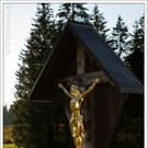 chf 424_jpg-1347909329
