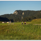 chf 426_jpg-1347909335