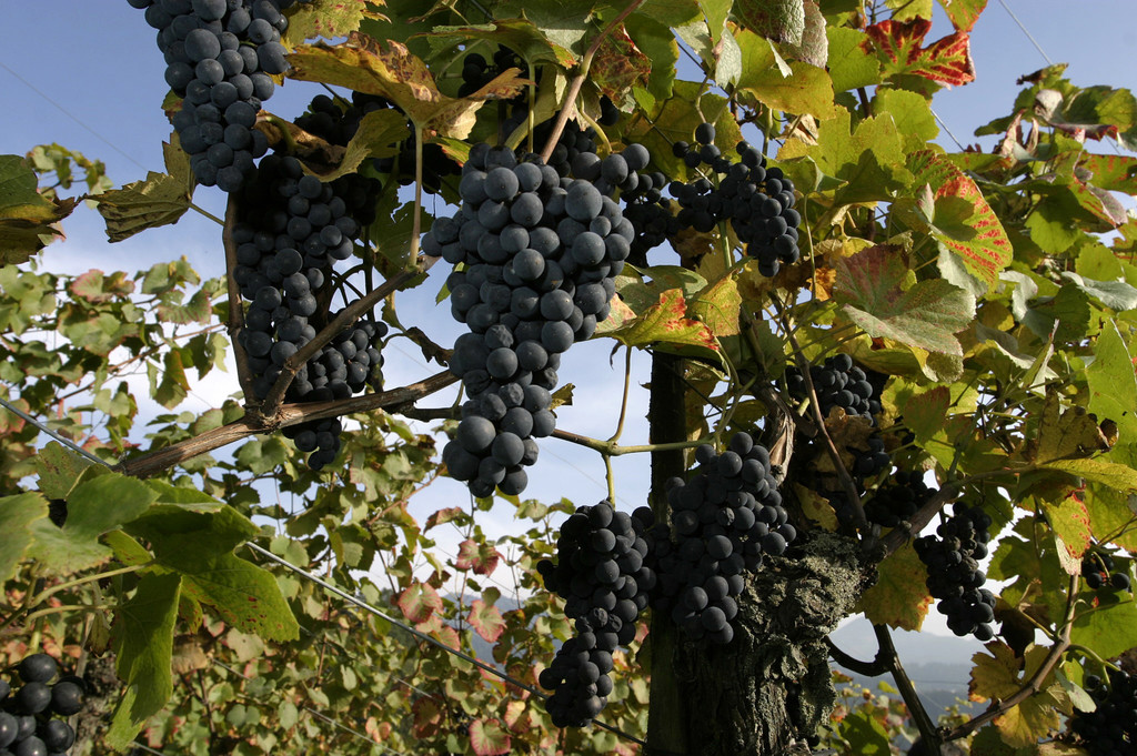 A Wein R__this 33_jpg-1347951766