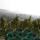 A Wein R__this 37_jpg-1347951797