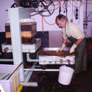 weibauer franz nachbaur 1_jpg-1347952016