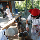 westend_totempfahl01_jpg-1347960207