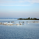 DSC02297.JPG