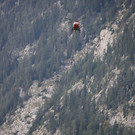 IMG_3490_Kopie.jpg
