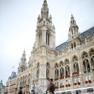 Lipizzaner trainierten auf Vienna MAsters Gelände Wiener Rathausplatz