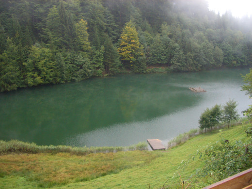 CIMG5403_JPG-1348120605