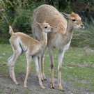 ABD0013-20120920.jpg