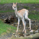 ABD0012-20120920.jpg