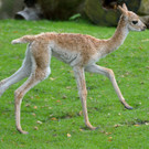 ABD0011-20120920.jpg