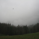 IMG_7468.jpg
