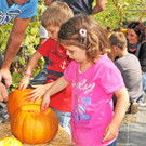 Mahlerhof H__chst 02_10_2011 5_jpg-1348147266