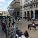 IMG_6522.JPG