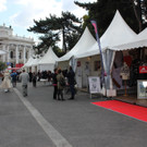 IMG_6526.JPG