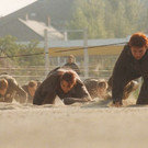 sport2_640x439_1309797611.jpg