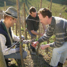 DSCN2129_JPG-1348231345