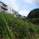 DSC00080_JPG-1348231719
