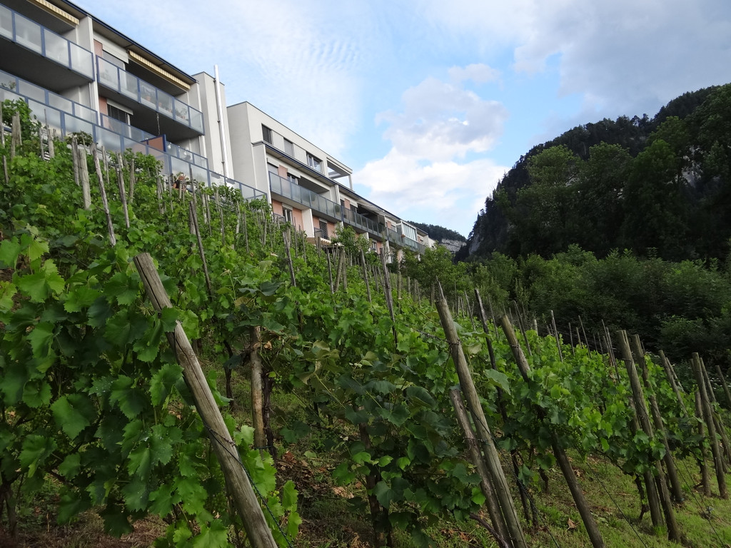 DSC00080_JPG-1348231719