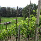 DSC00056_JPG-1348231926