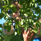 ABD0128-20120918.jpg