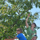 ABD0129-20120918.jpg