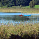 ABD0130-20120918.jpg
