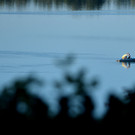 ABD0132-20120918.jpg