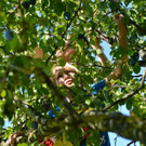 ABD0133-20120918.jpg