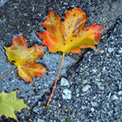 ABD0134-20120919.jpg