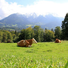 14092012wetterde01001aktivnews_11.jpg