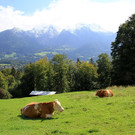 14092012wetterde01001aktivnews_02.jpg