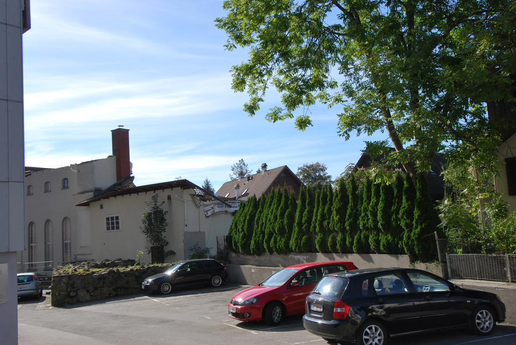 DSC_0118-1.jpg