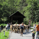 IMG_3850_JPG-1348245072.jpg