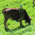 IMG_3900_JPG-1348246014.jpg
