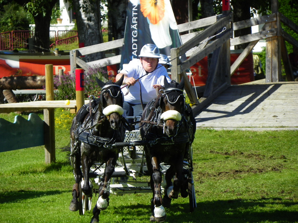 116_2070_JPG-1348269886