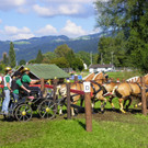 116_2162_JPG-1348269978