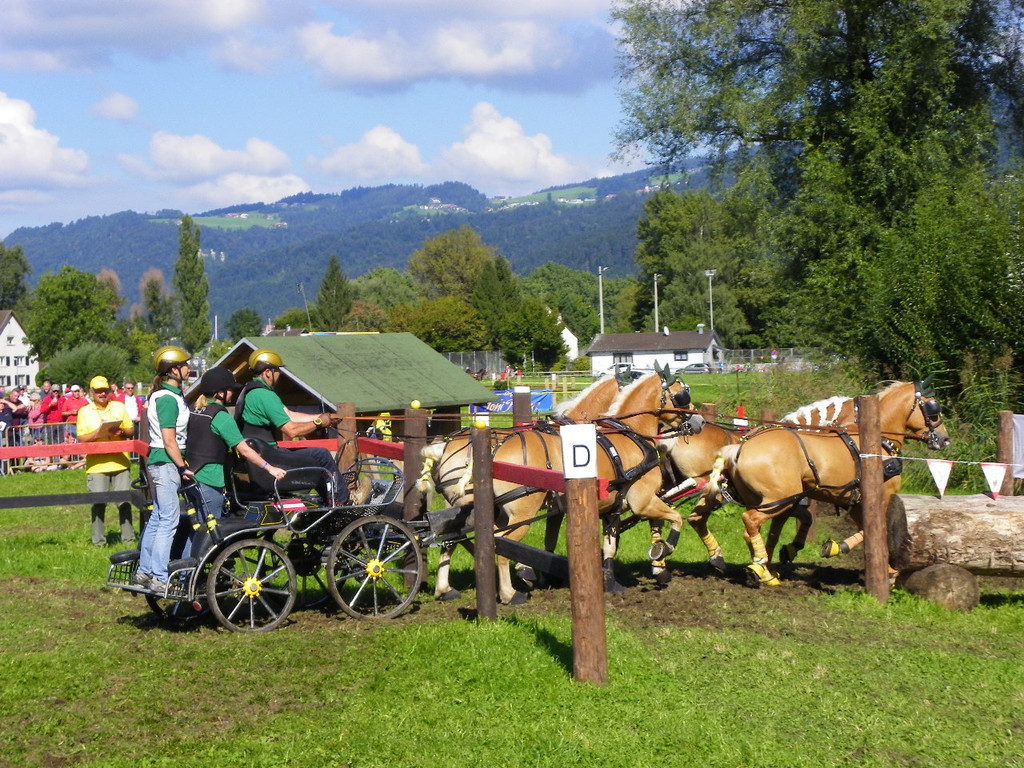 116_2162_JPG-1348269978