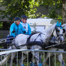 116_2074_JPG-1348269892