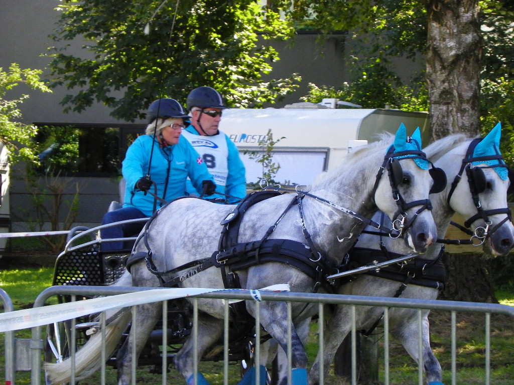 116_2074_JPG-1348269892