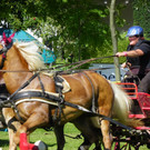 116_2082_JPG-1348269905