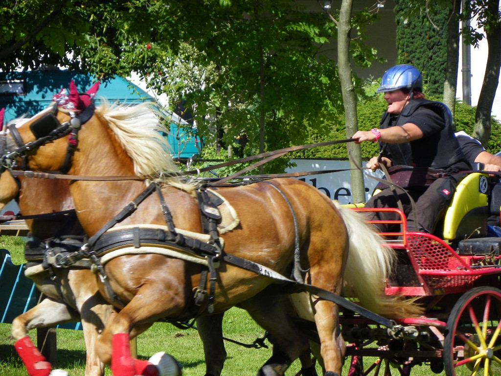 116_2082_JPG-1348269905