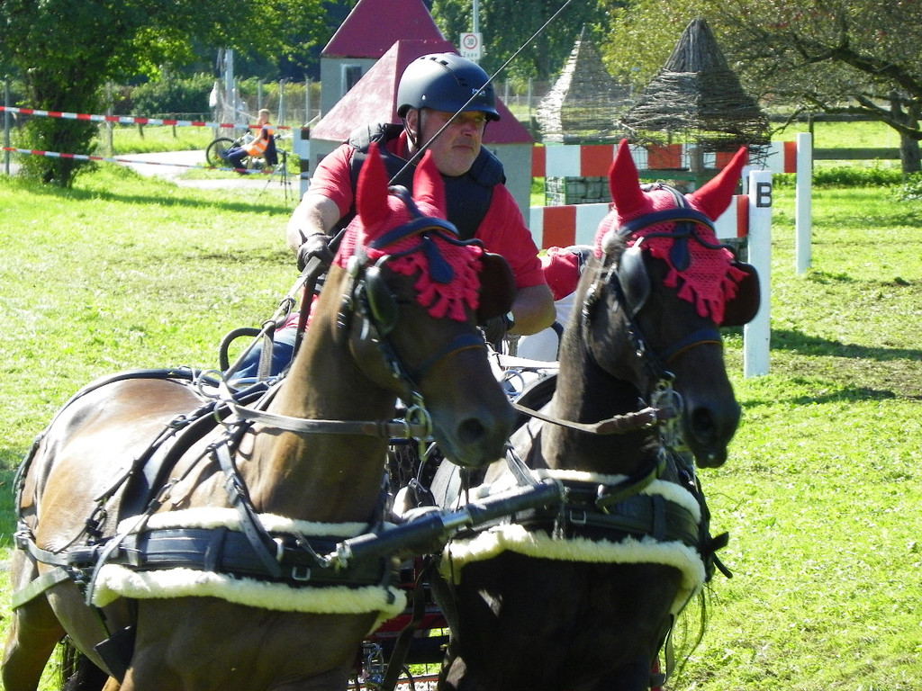 116_2121_JPG-1348269929