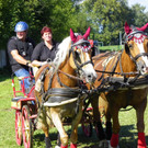 116_2125_JPG-1348269941