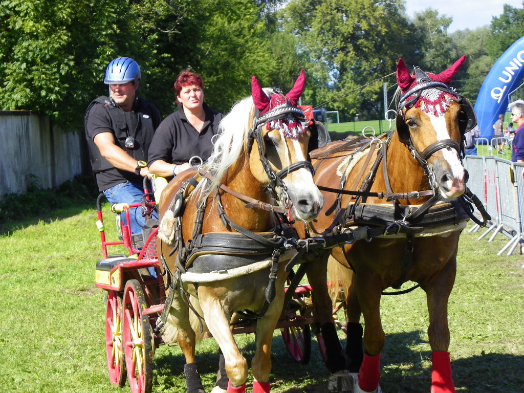 116_2125_JPG-1348269941