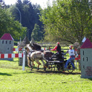 116_2128_JPG-1348269947