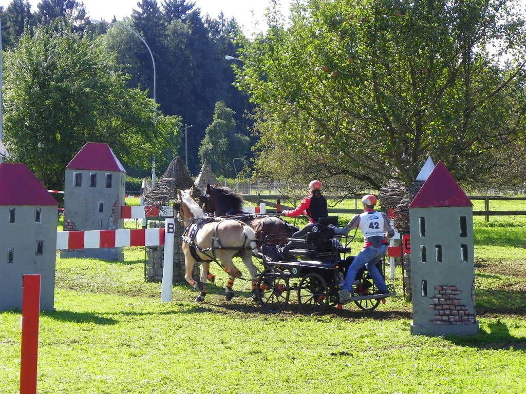 116_2128_JPG-1348269947