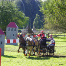 116_2129_JPG-1348269954