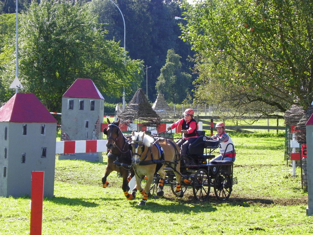 116_2129_JPG-1348269954